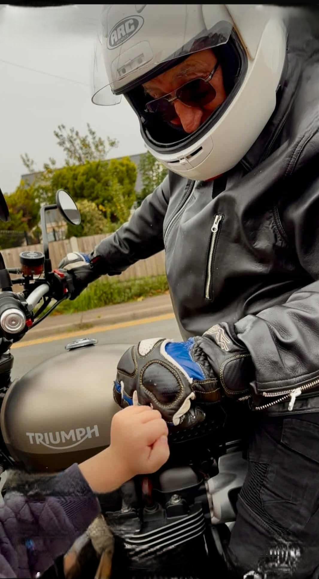Hoggin the Bridge Rider